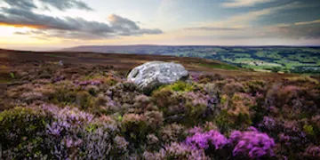 Nidderdale