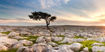 The Yorkshire Dales